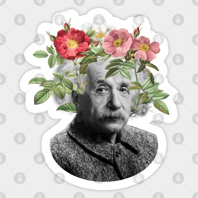 Einstein Sticker by luliga